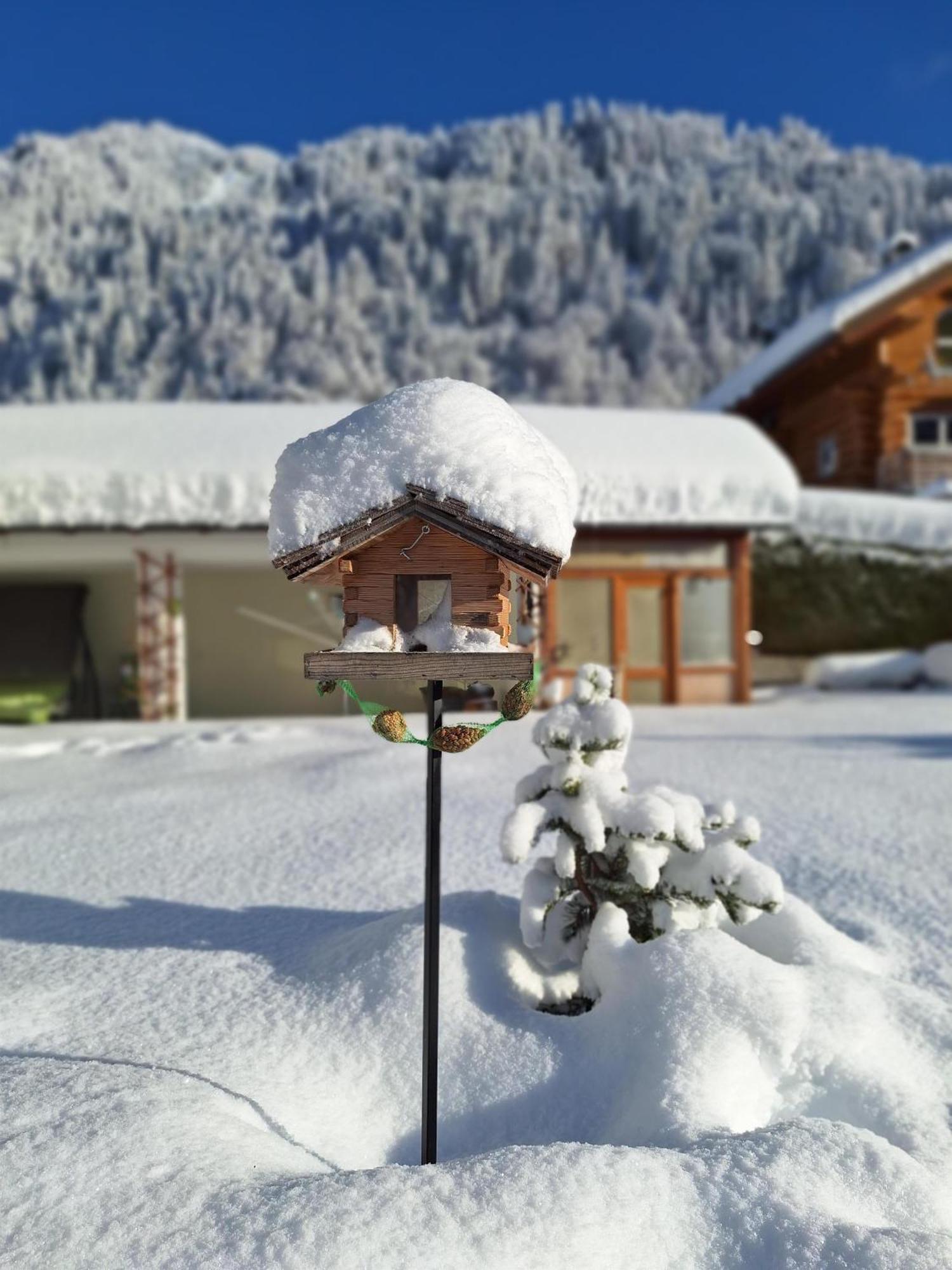 Ferienwohnungen Pollhammer Sankt Gallenkirch Exteriör bild