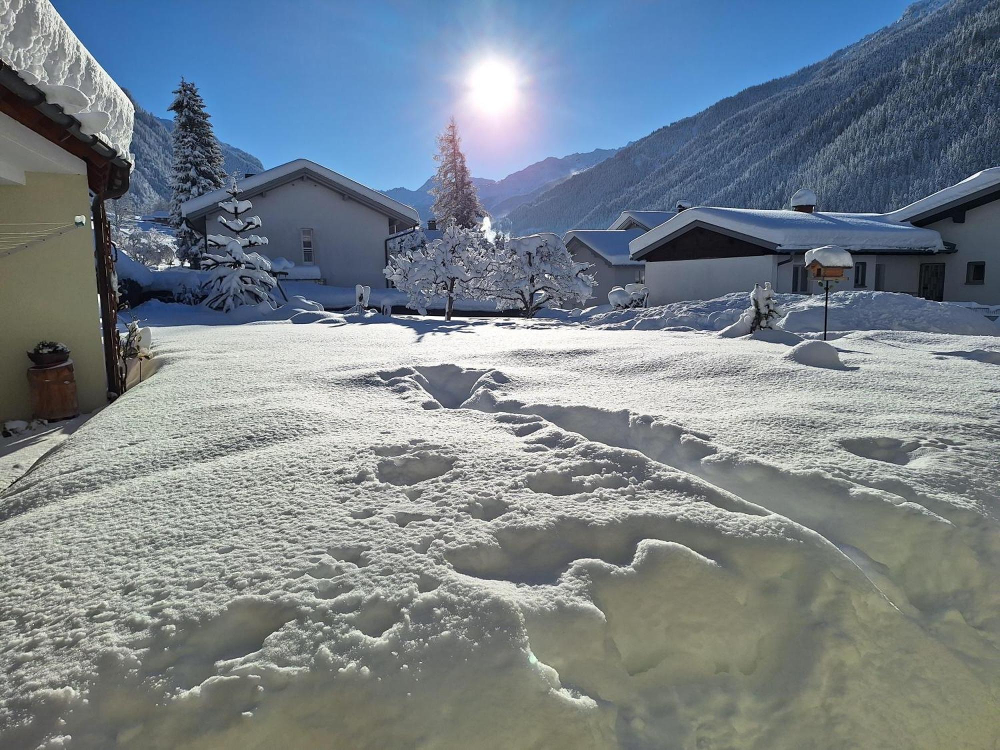 Ferienwohnungen Pollhammer Sankt Gallenkirch Exteriör bild