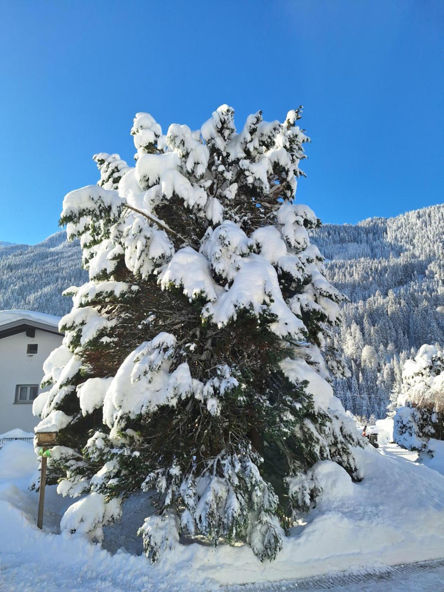 Ferienwohnungen Pollhammer Sankt Gallenkirch Exteriör bild